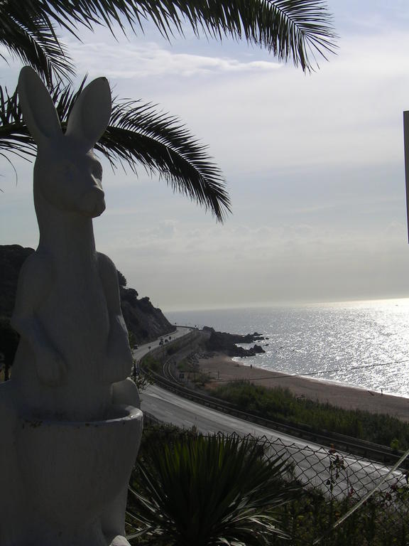 Camping Kanguro Sant Pol De Mar Buitenkant foto
